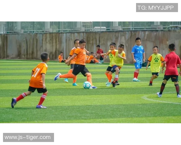 足球球的魅力与激情探讨以及如何提升青少年足球水平的有效策略 足球球的魅力与激情探讨以及如何提升青少年足球水平的有效策略